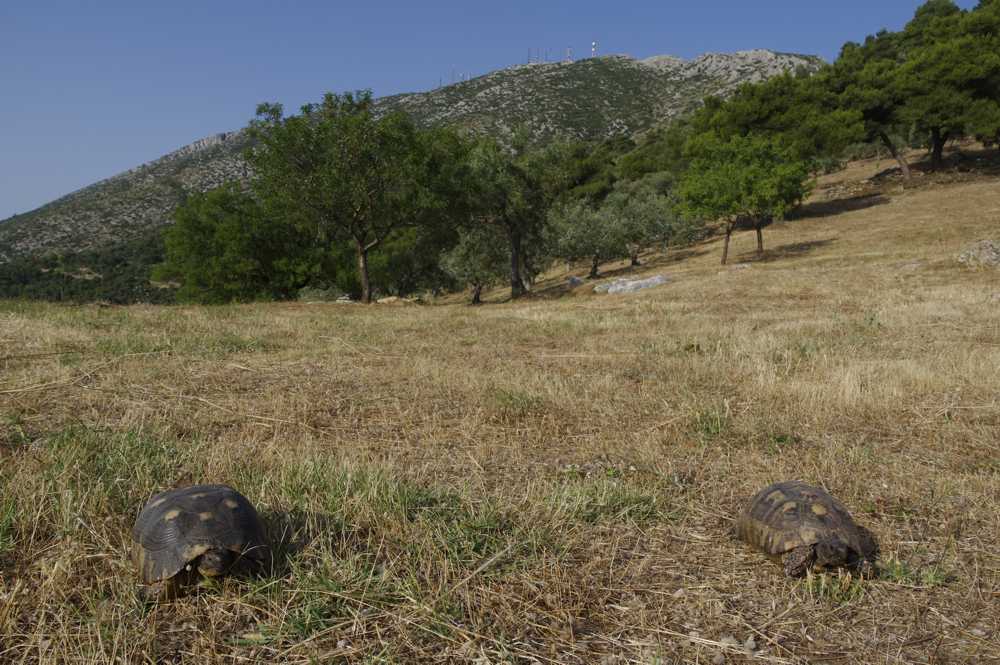 Κτήμα πάνω από τα Γλυκά Νερά Διαδρομή 5