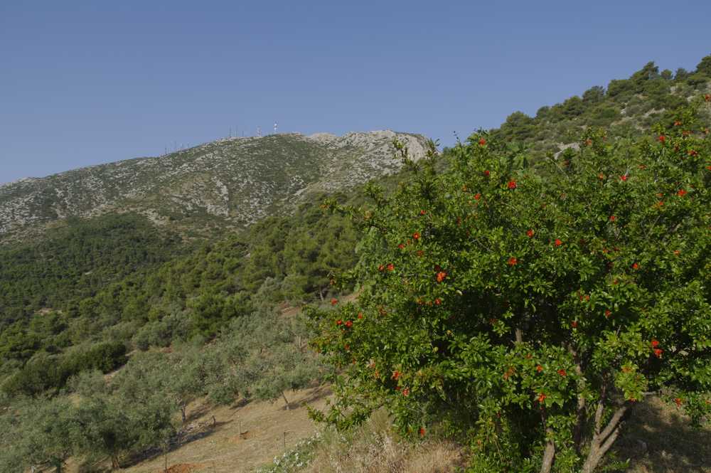 Κτήμα πάνω από τα Γλυκά Νερά Διαδρομή 5