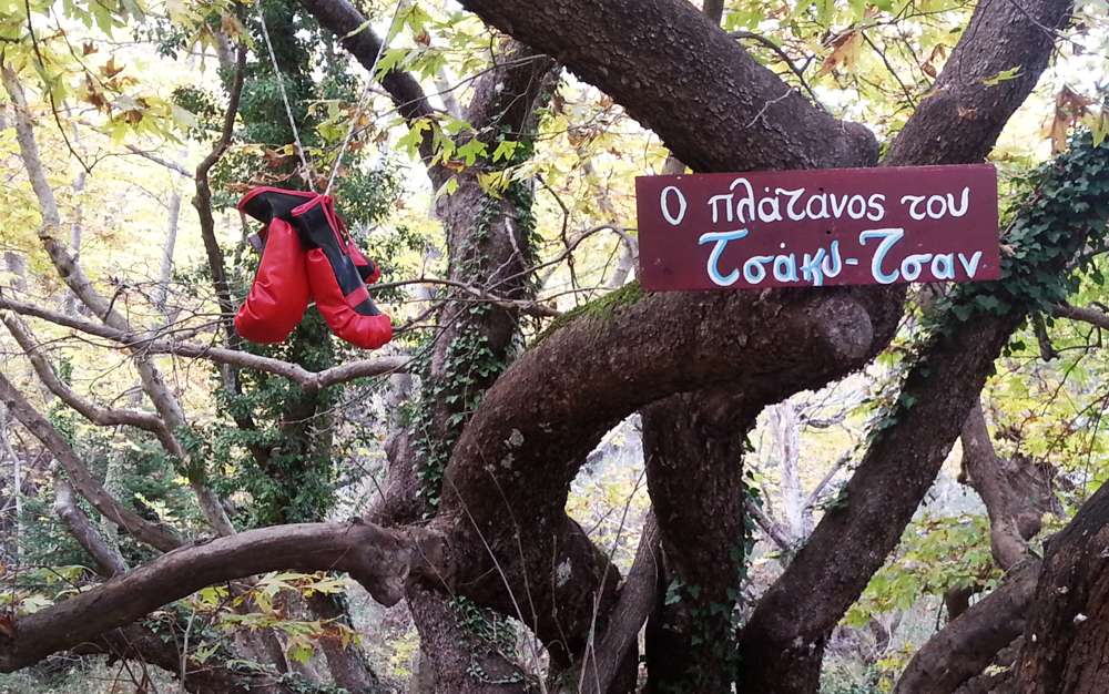 Παύλιανη, σήμανση στο μονοπάτι προς τον υγρότοπο Τζιρού Παύλιανη, Υγρότοπος Τζιρού
