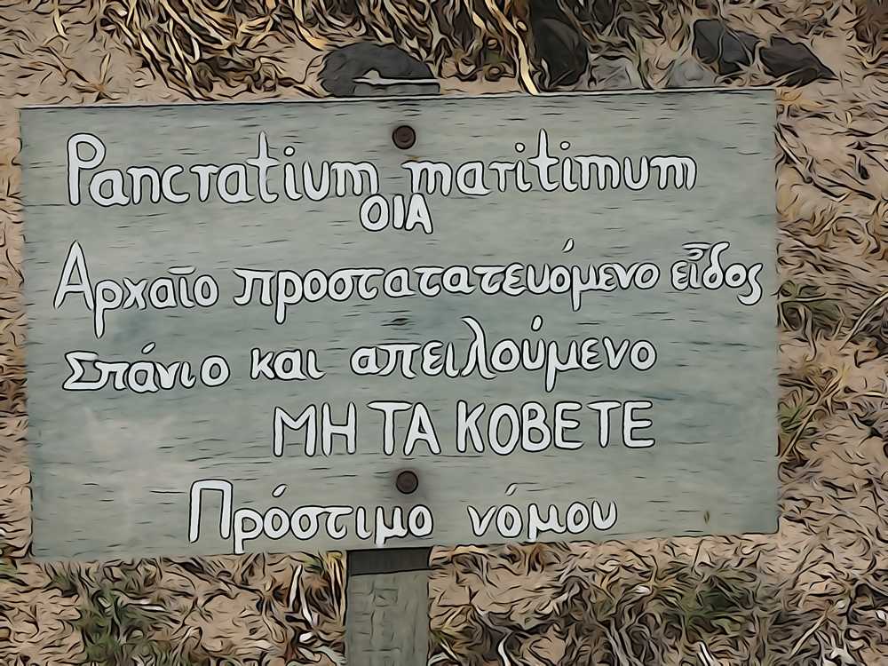 Σήμανση στη Σαντορίνη Φοινικιά-Κουλούμπος